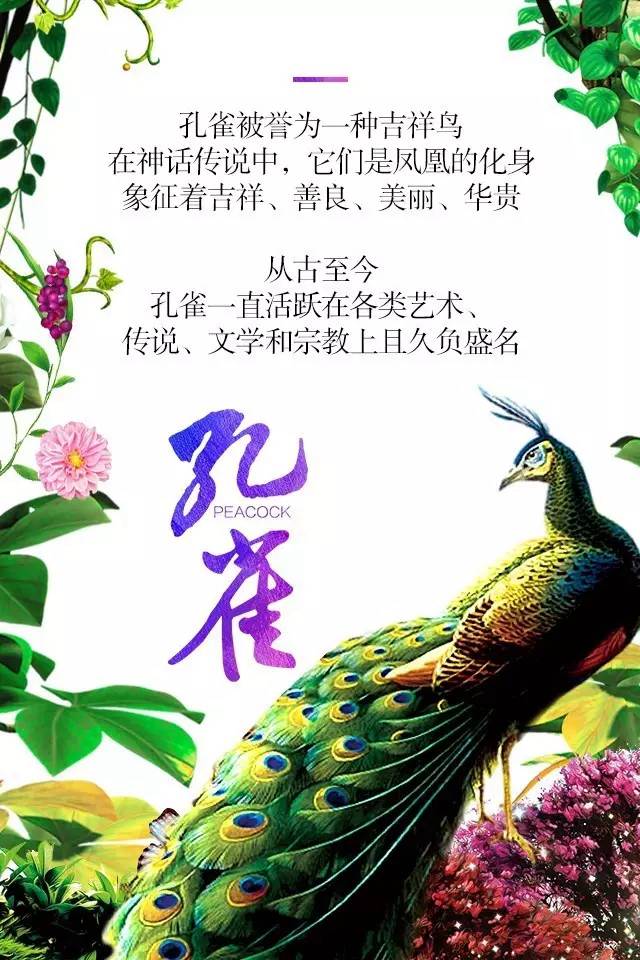 【915-918邵陽秋季車展】鳳臨枝頭，雀雀雀雀雀實驚艷！