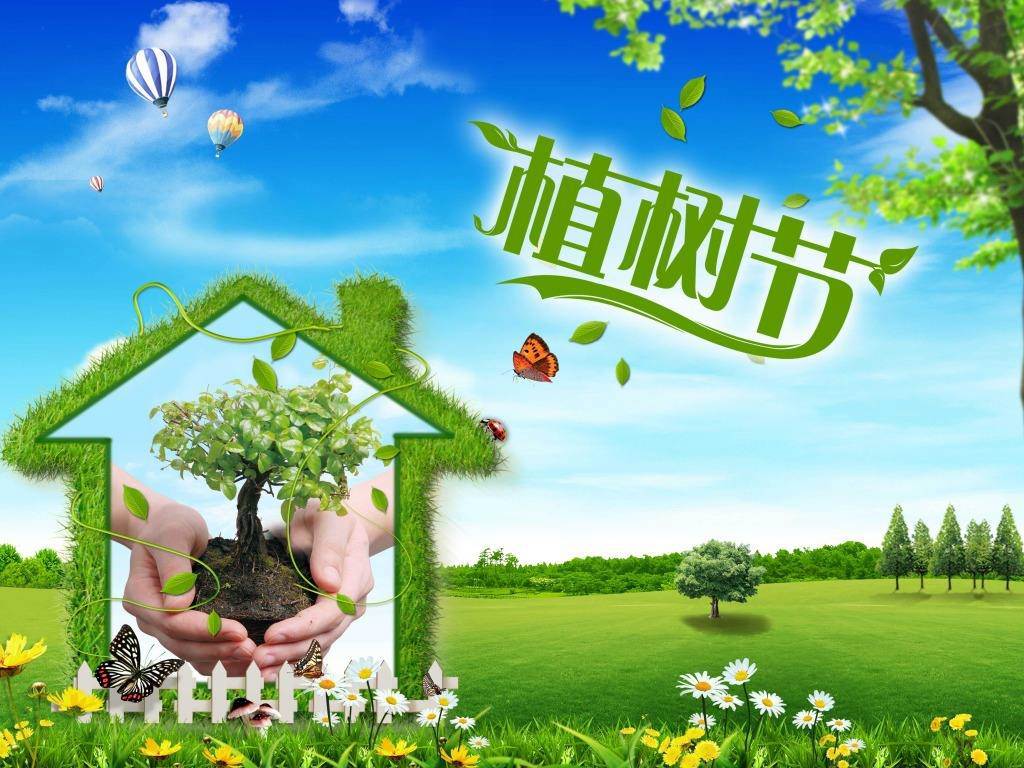 北京現(xiàn)代“智現(xiàn)代，植未來”，你我共建森林邵陽