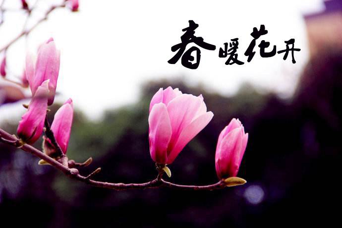春暖花開 教你春季如何做汽車保養(yǎng)！